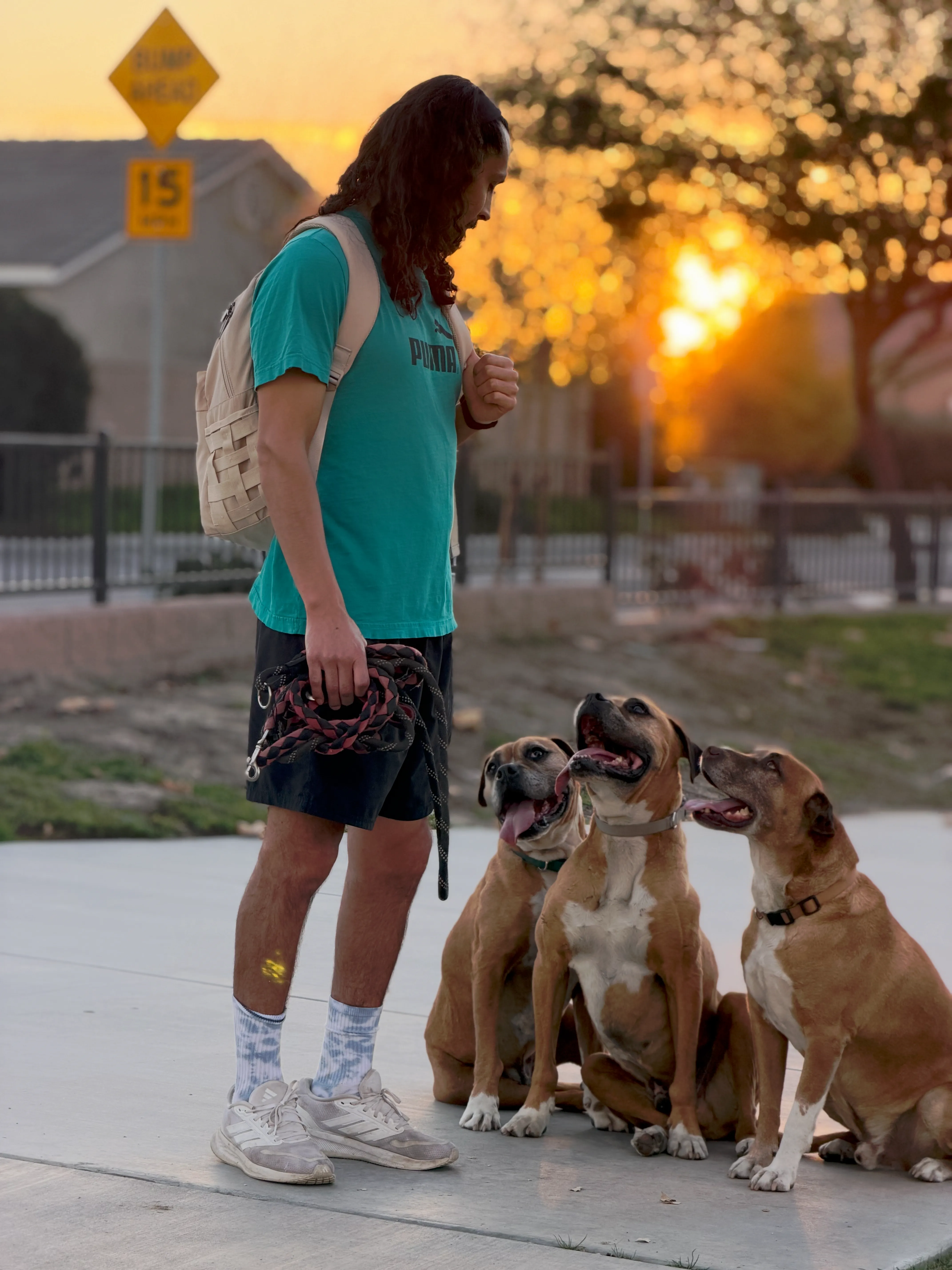 Good Doggos Founder